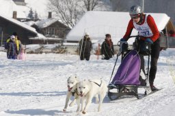 Lenk 2012 SM
